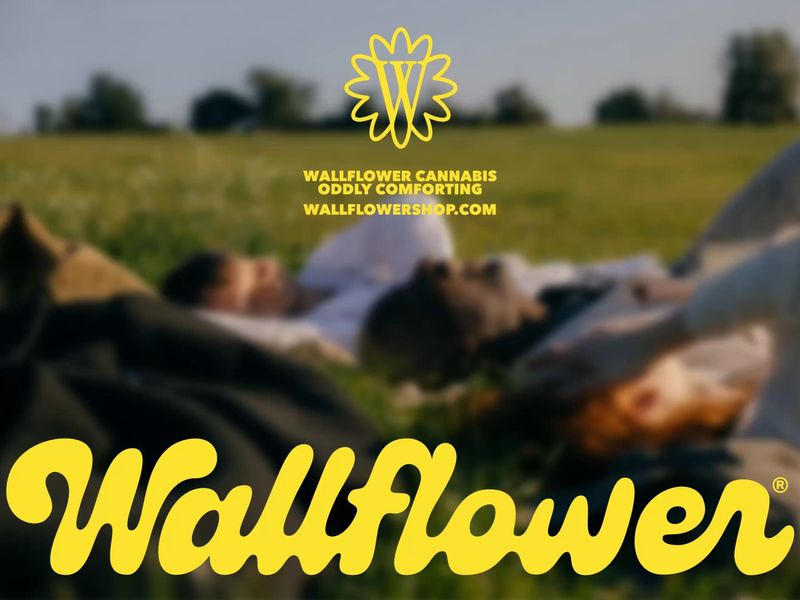 Wallflower Visual Identity Design