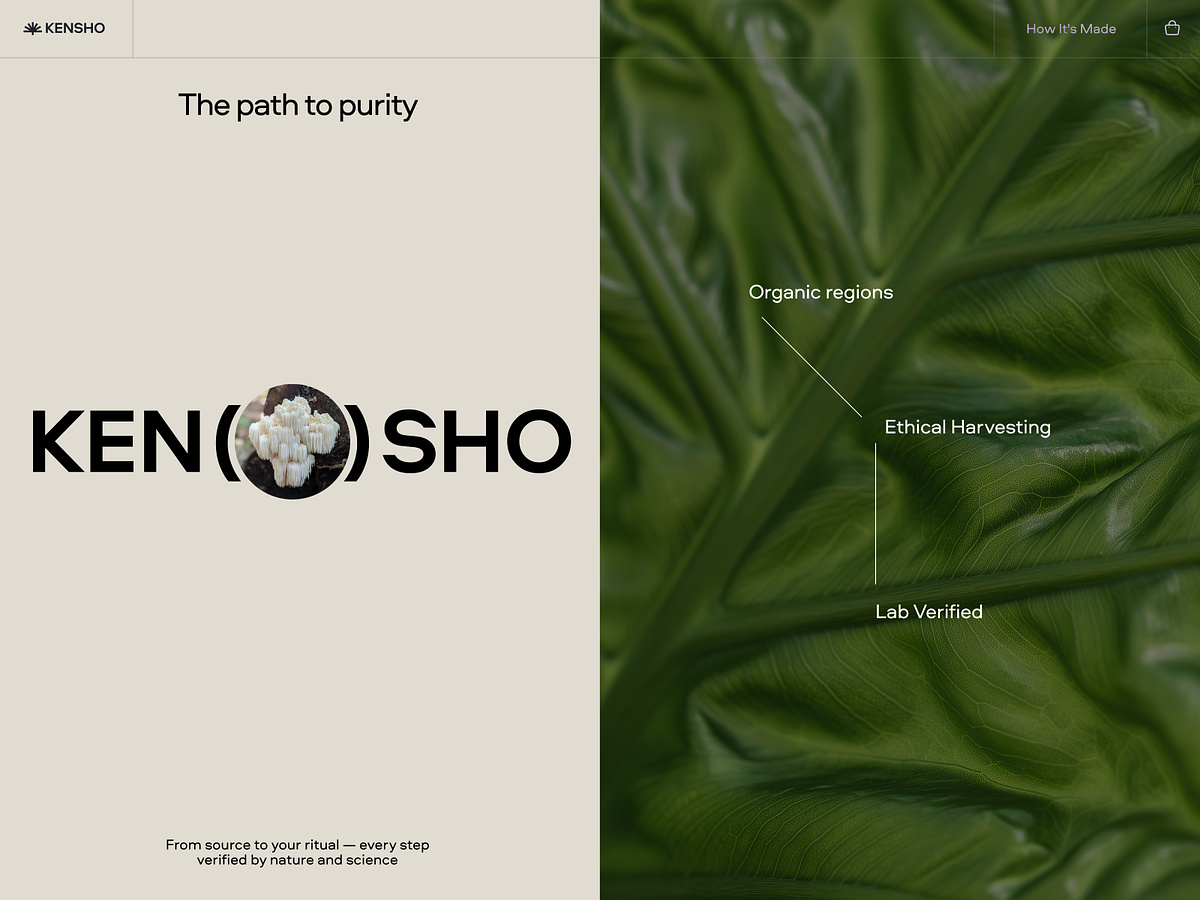 Animated Website for a Wellness Brand Image 0