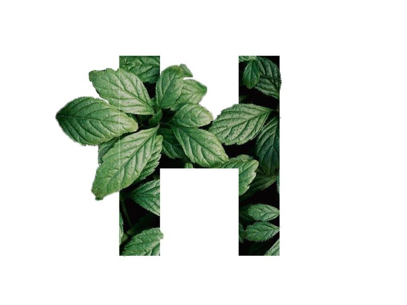 Nature in Type — Organic Letterform Composition