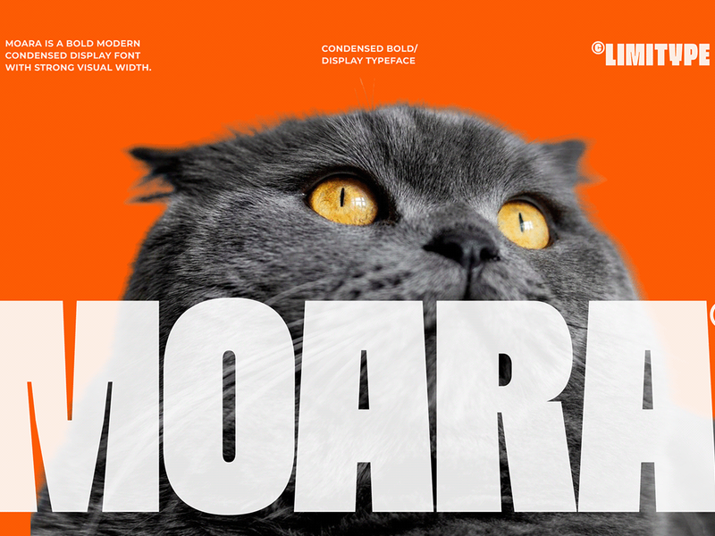 Moara - Condensed Bold Font