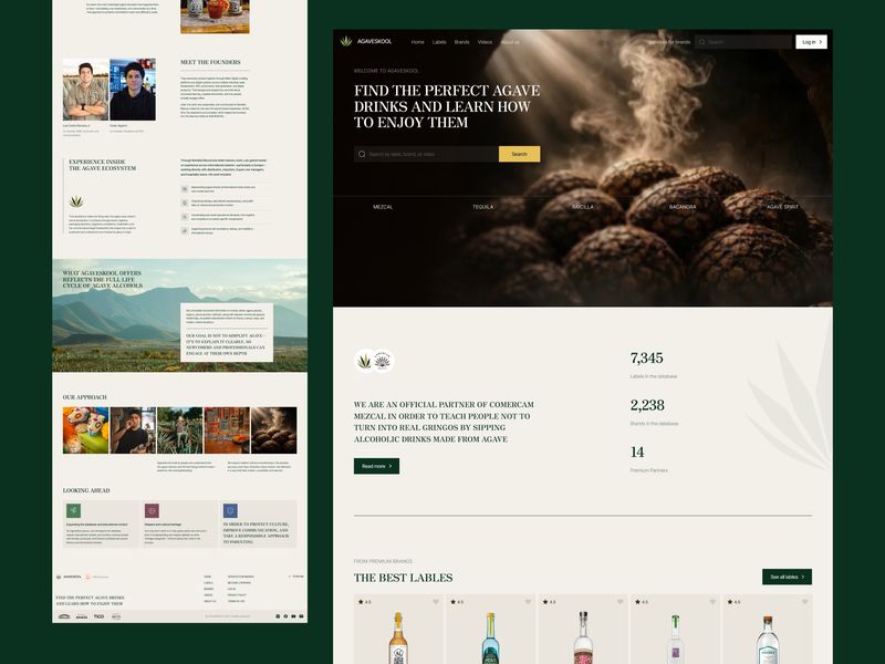Website design for Agaveskool - agave sirits database