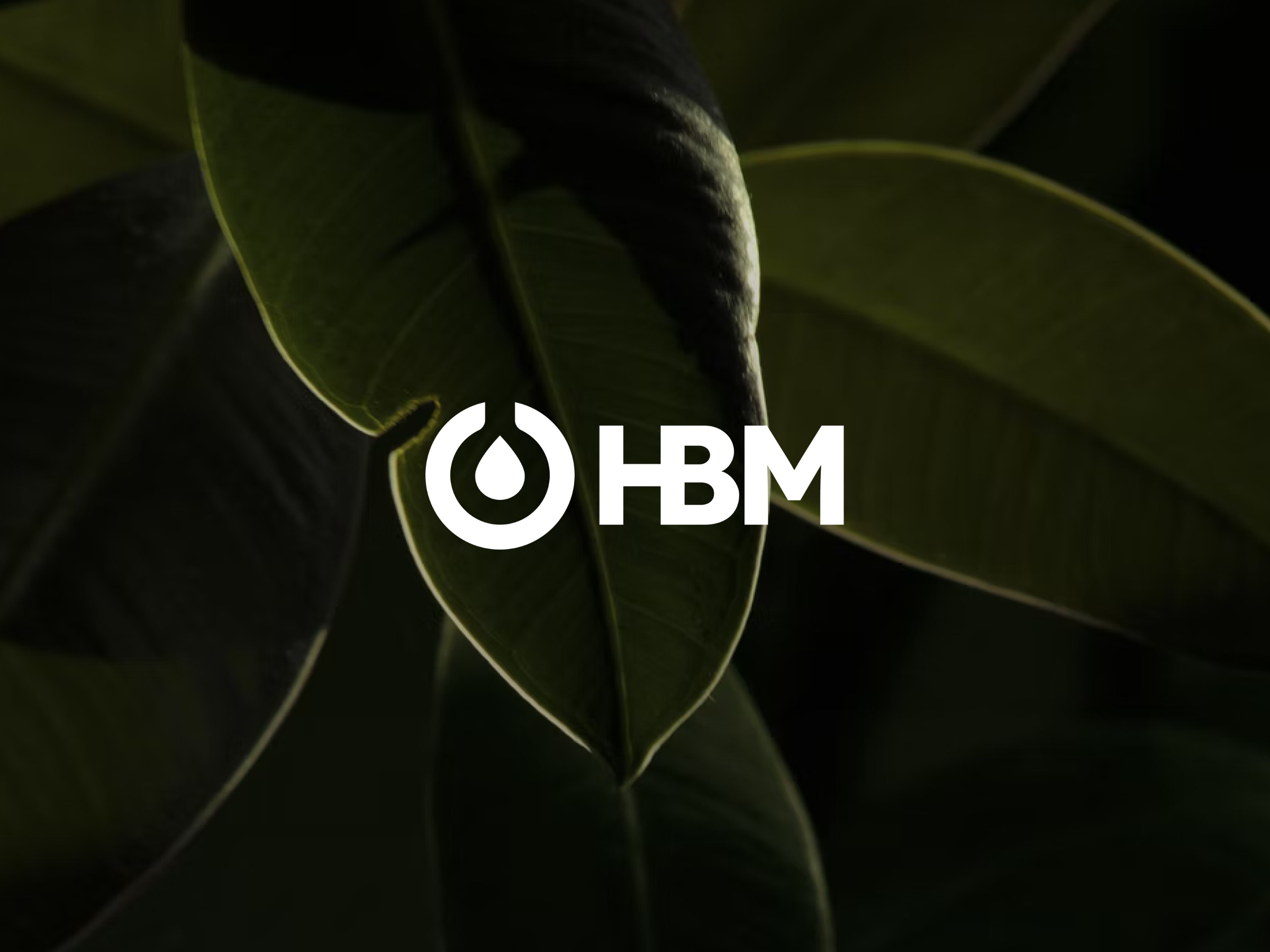 Healthy Beauty Manufacturing Visual Identity Image 1