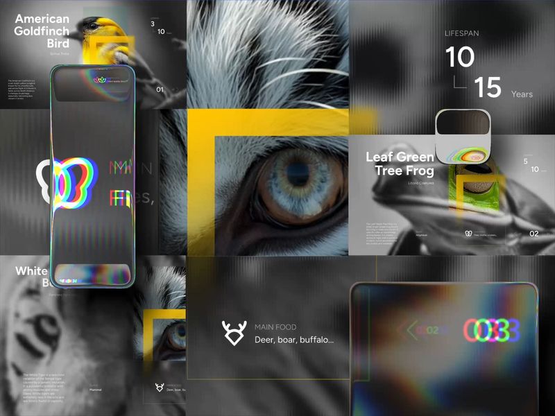 National Geographic Interactive Carousel