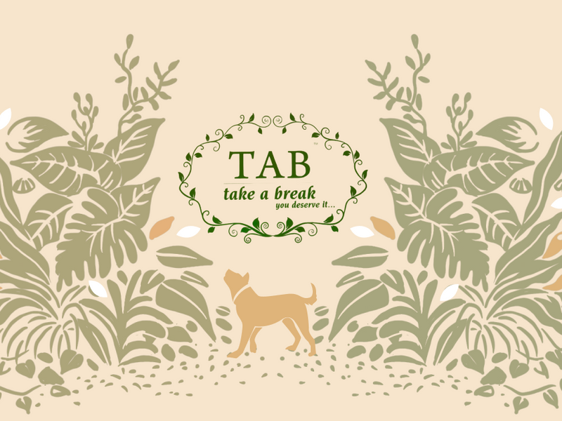 Take a Break - Web Experience | Liquidink Design