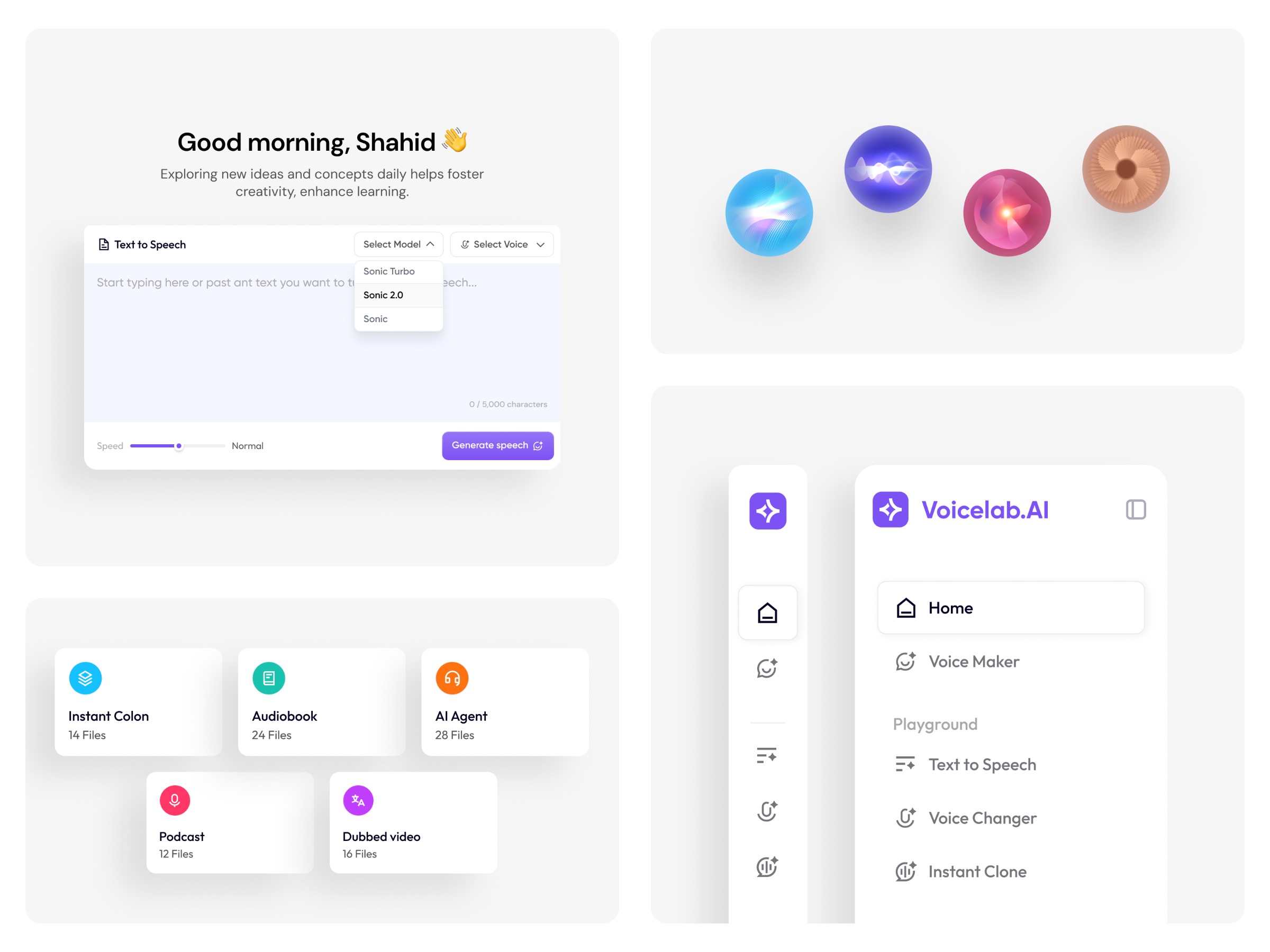 VoicelabAI — AI Voice Agent Platform Image 1
