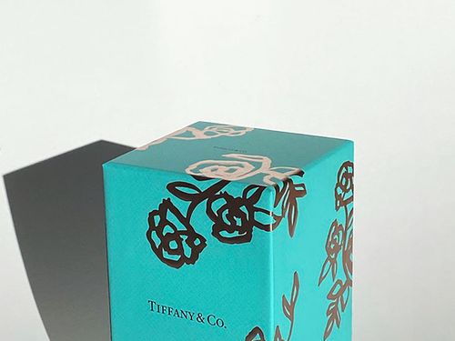 TIFFANY & CO. — Andreea Robescu
