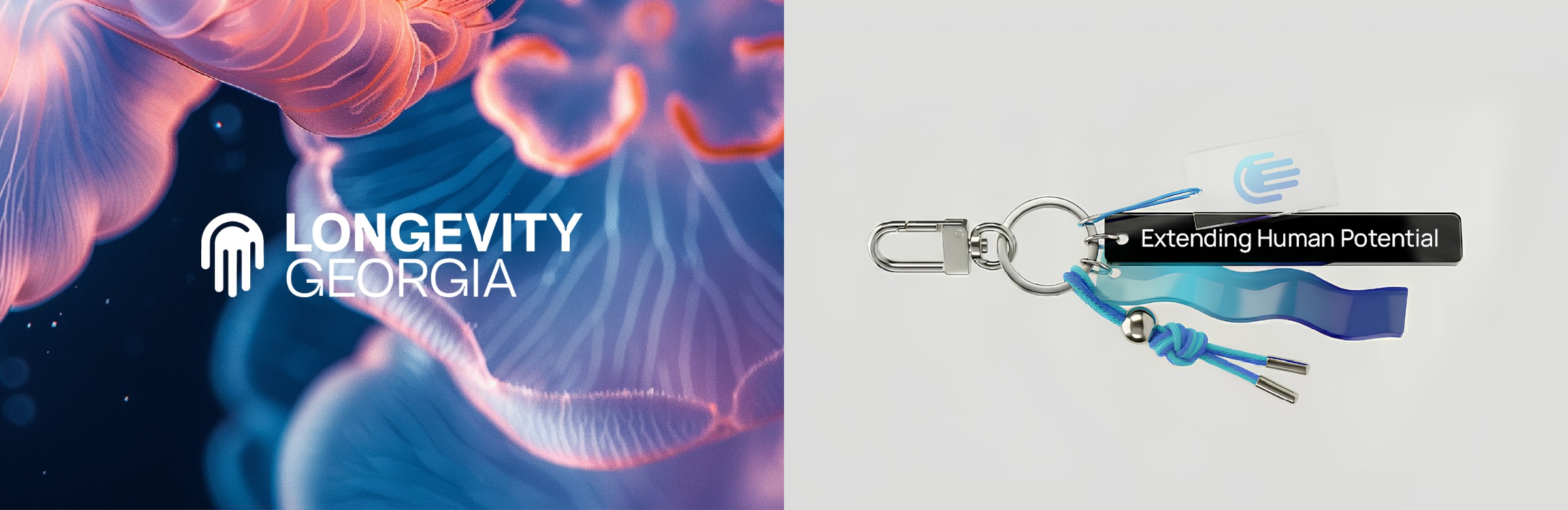 Logofolio | ©2026 Image 8