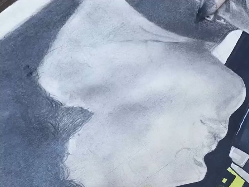 Lando Norris pencil drawing