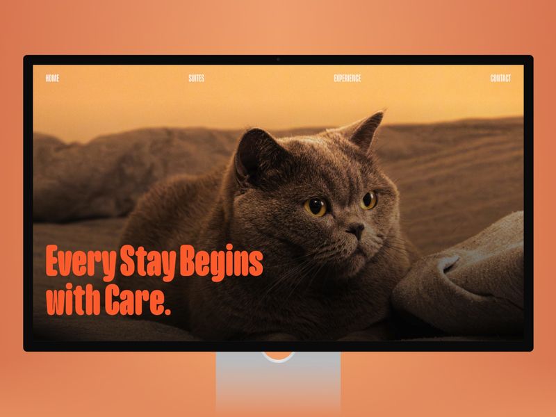 Kity Cat Boarding Framer Template by DiverseKit