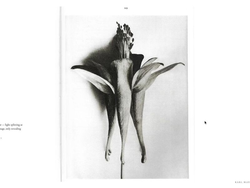 Chromatic Interactive Mouse Effect