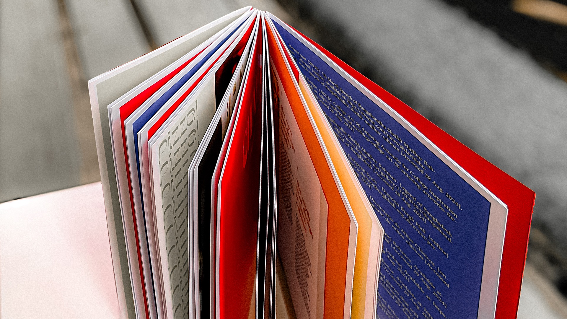 Hand-Bound Image Book Image 38