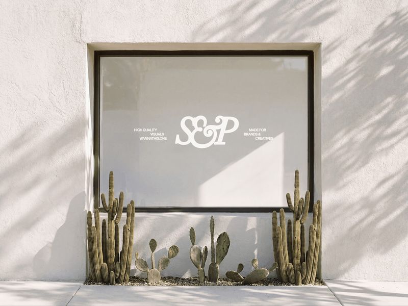 Storefront Window Signage with Cactus Garden