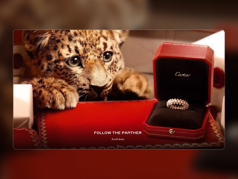 Cartier - Follow the baby panther