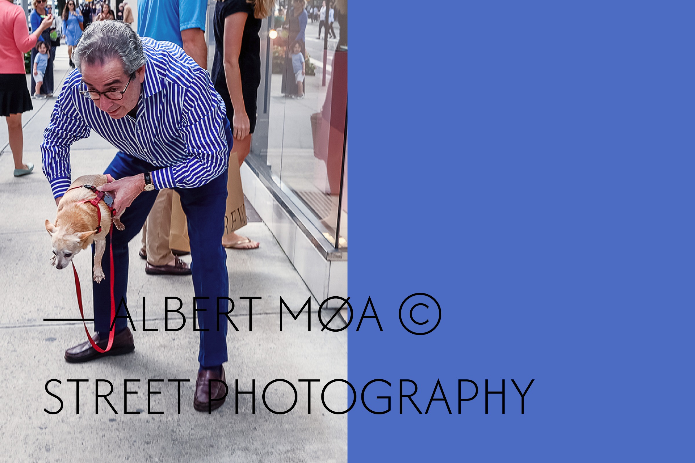 Albert Møa — Street Photography Brand Identity & App Design Image 7