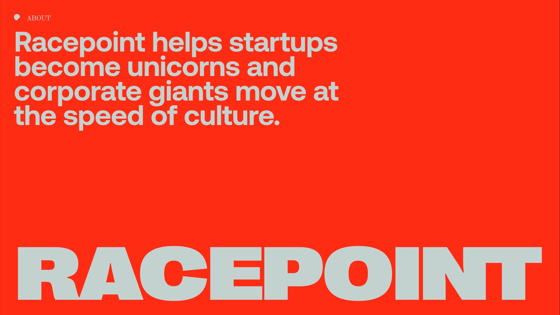 Final Racepoint - Visual Identity & Website Image 1