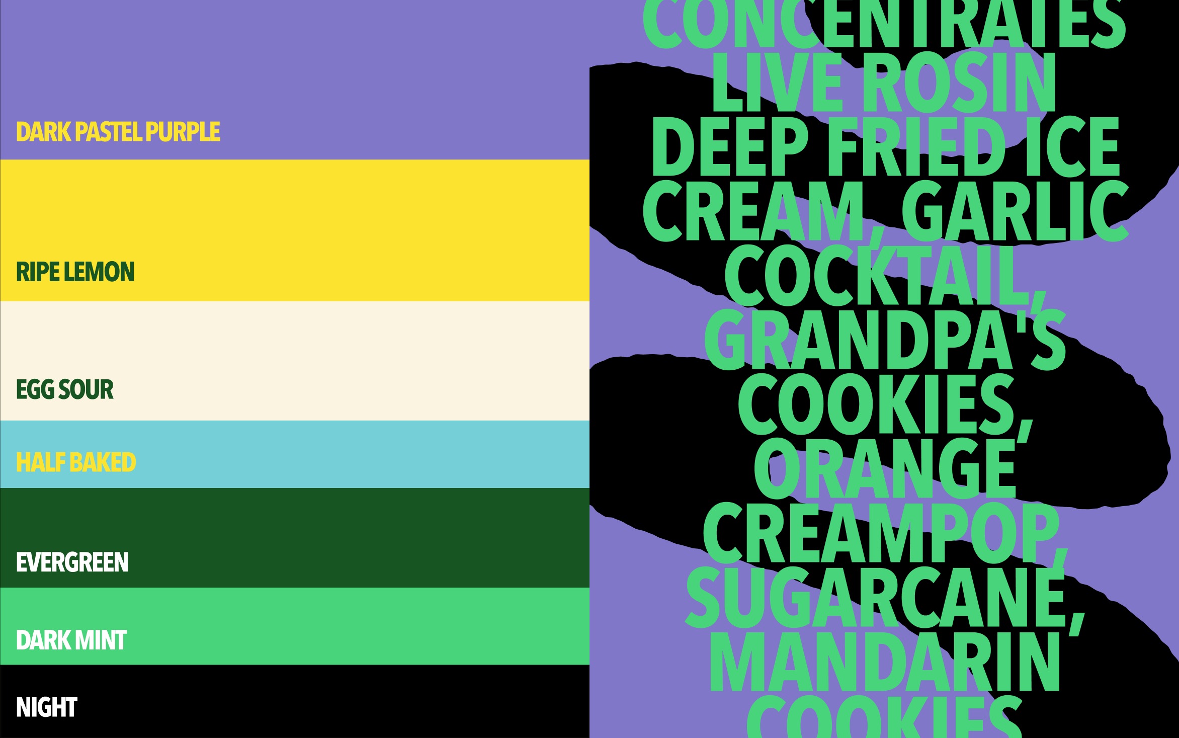 Wallflower Visual Identity Design Image 2