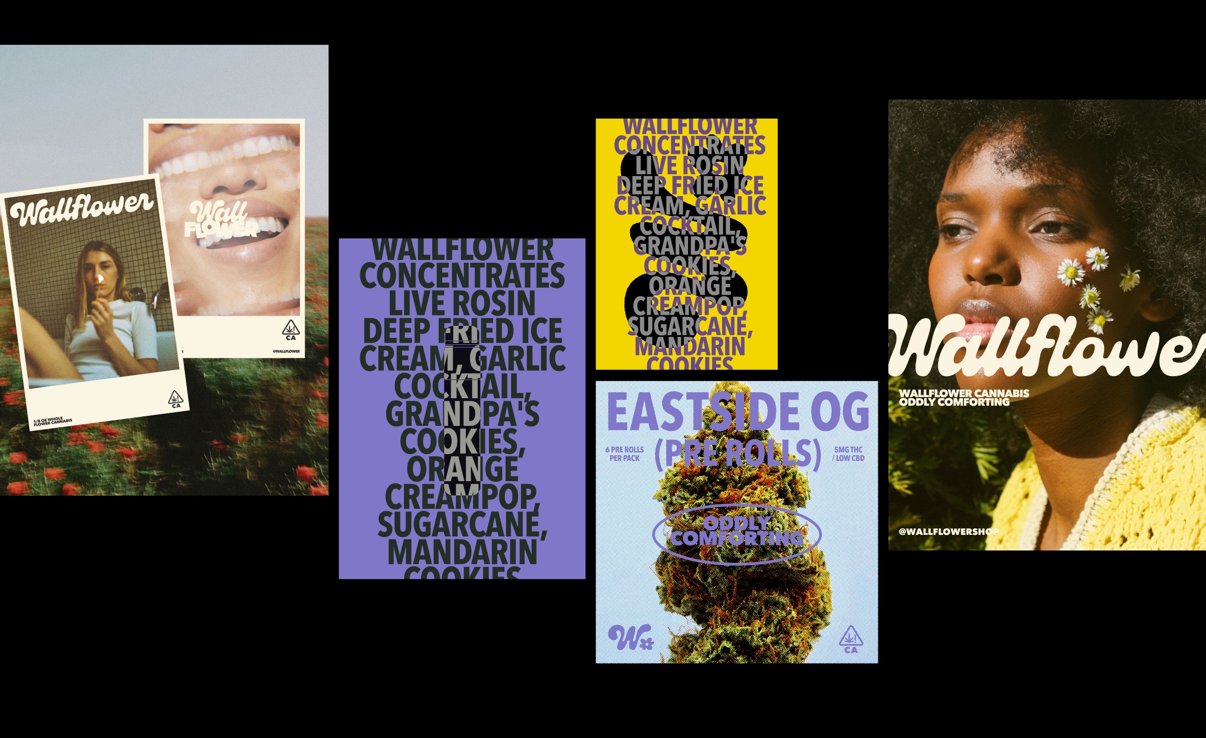 Wallflower Visual Identity Design Image 5