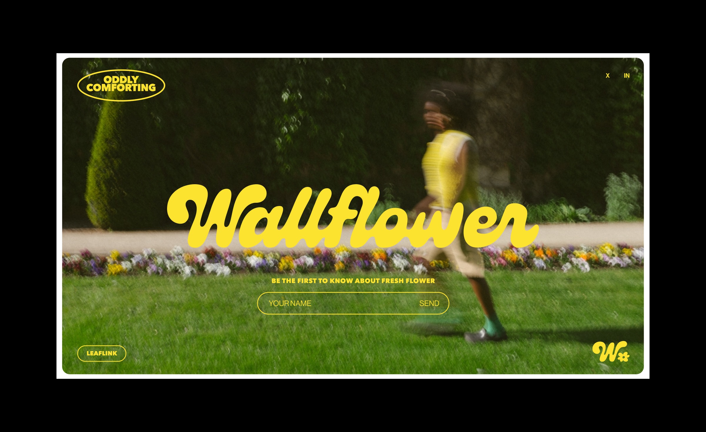 Wallflower Visual Identity Design Image 6