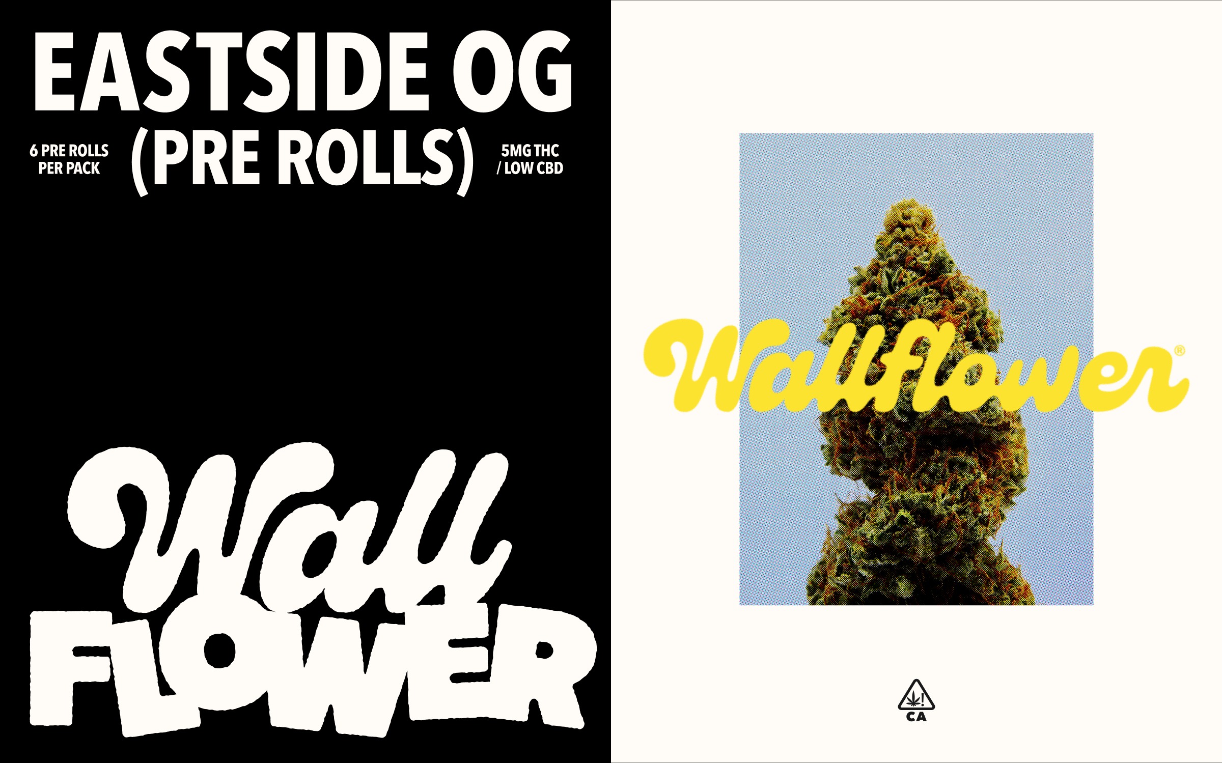Wallflower Visual Identity Design Image 7
