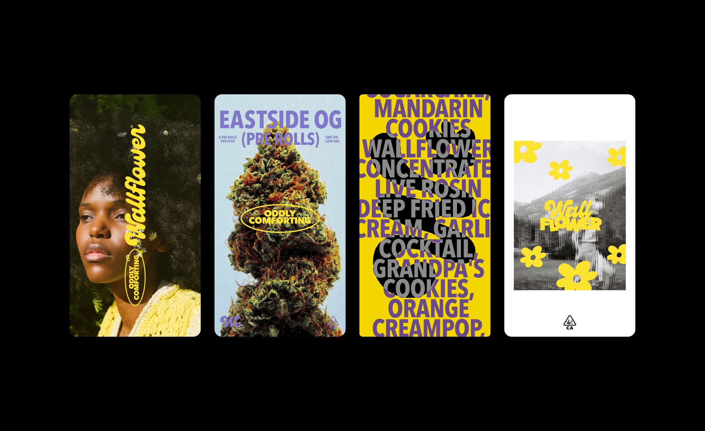 Wallflower Visual Identity Design Image 11