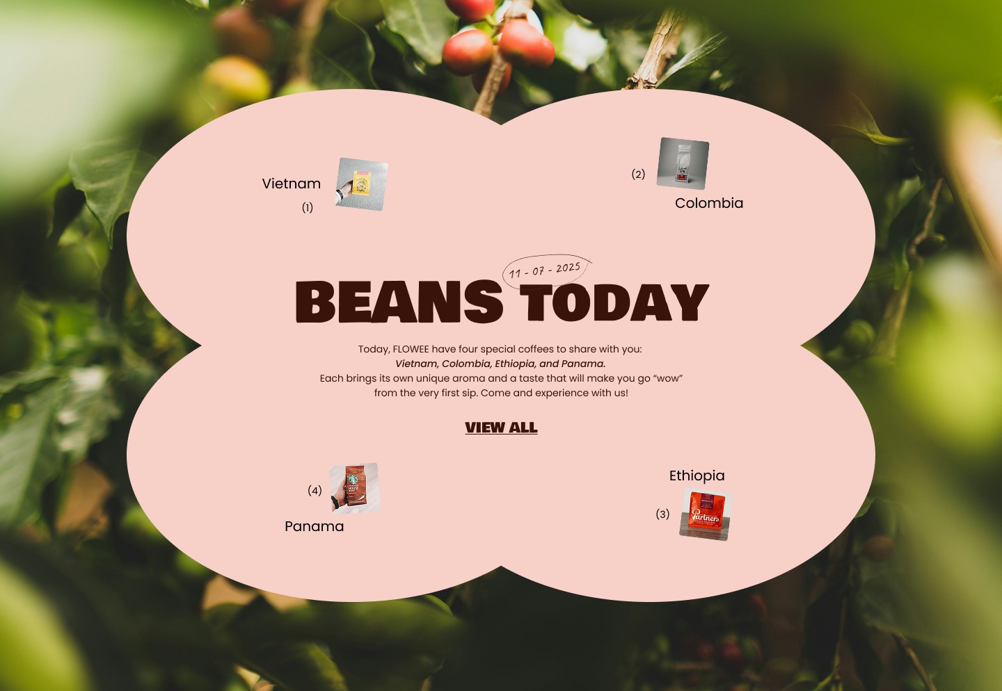 Flowee – Coffee Beans, Brewing Tools & Community Website Design by Thu Thu Image 0