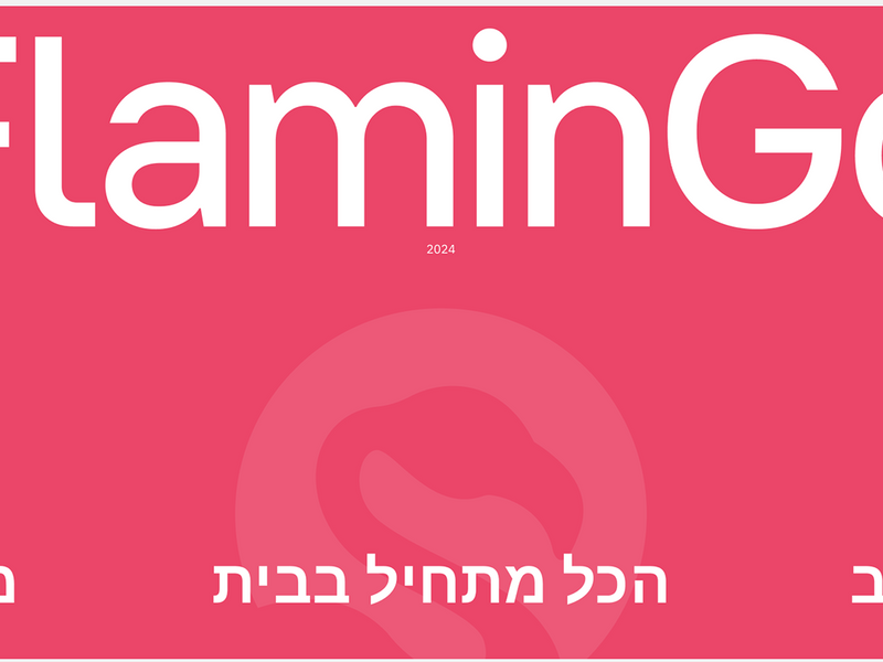 Website & Identity | FlaminGo