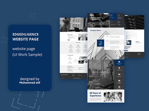 Due Diligence Service