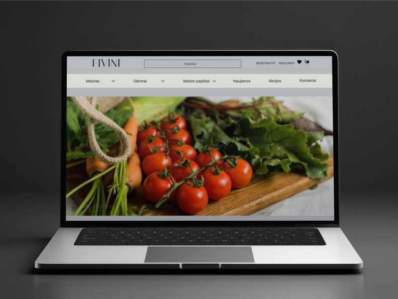 FIVINI Web UX/UI