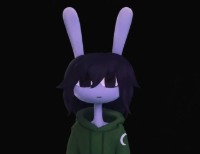 Zoko