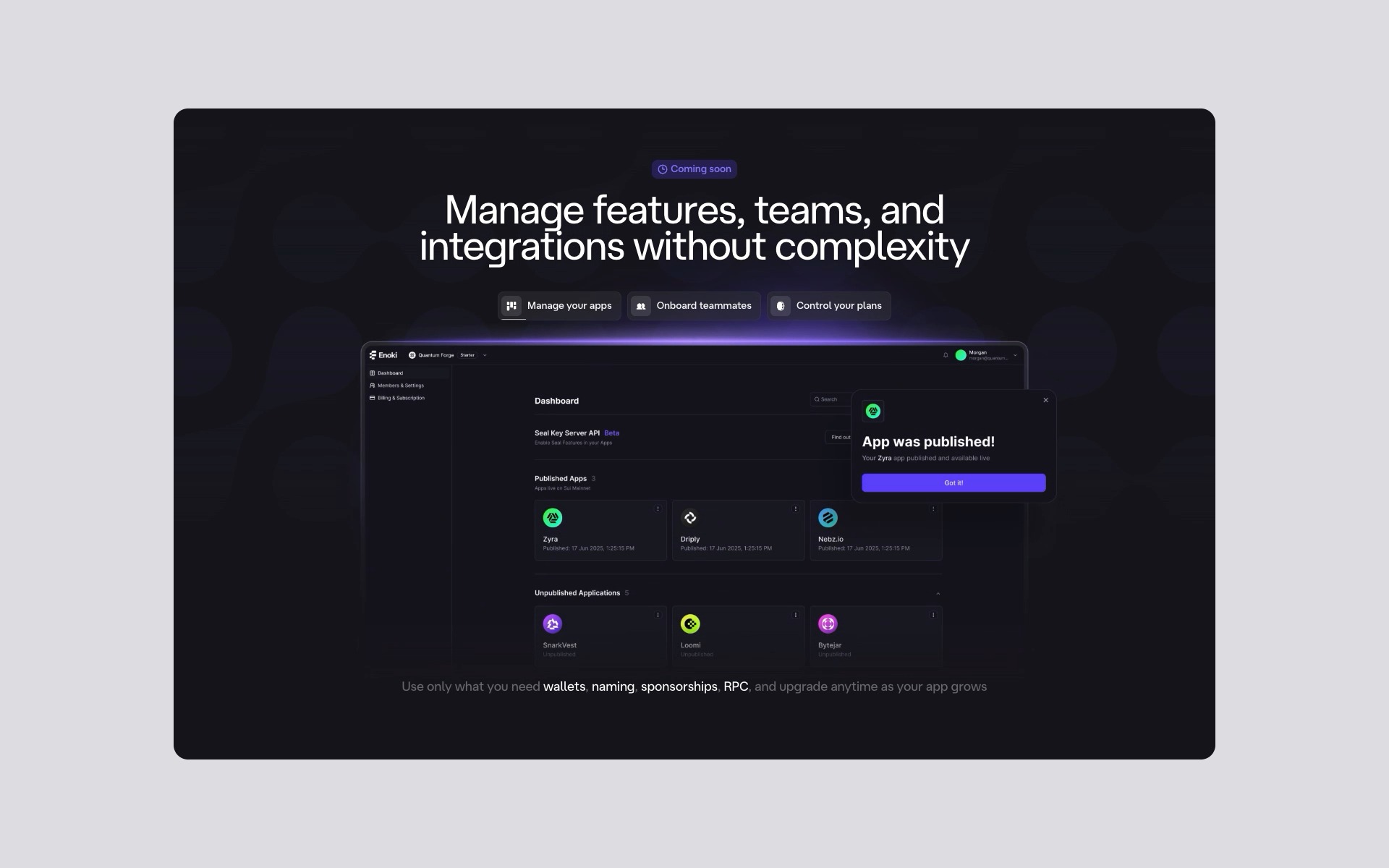 Website for Enoki by Mysten Labs Image 1