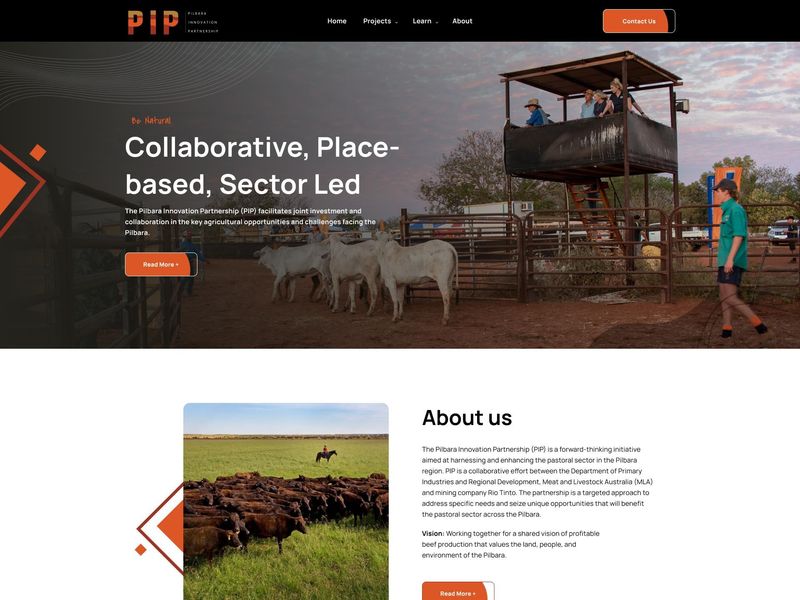 PIP — Corporate Web Engineering & Structural UI Case Study