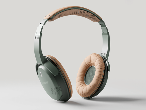 Bose Wireless Headphones » Playground of Big Pitcher