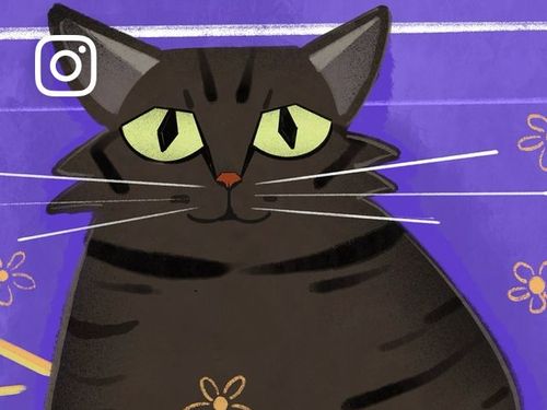 Chiranjeet Deka | everyday is a CATURDAY