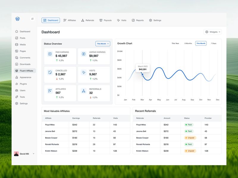WordPress Affiliate Dashboard