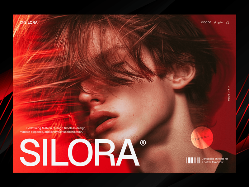 Clothing fashion e-commerce website design