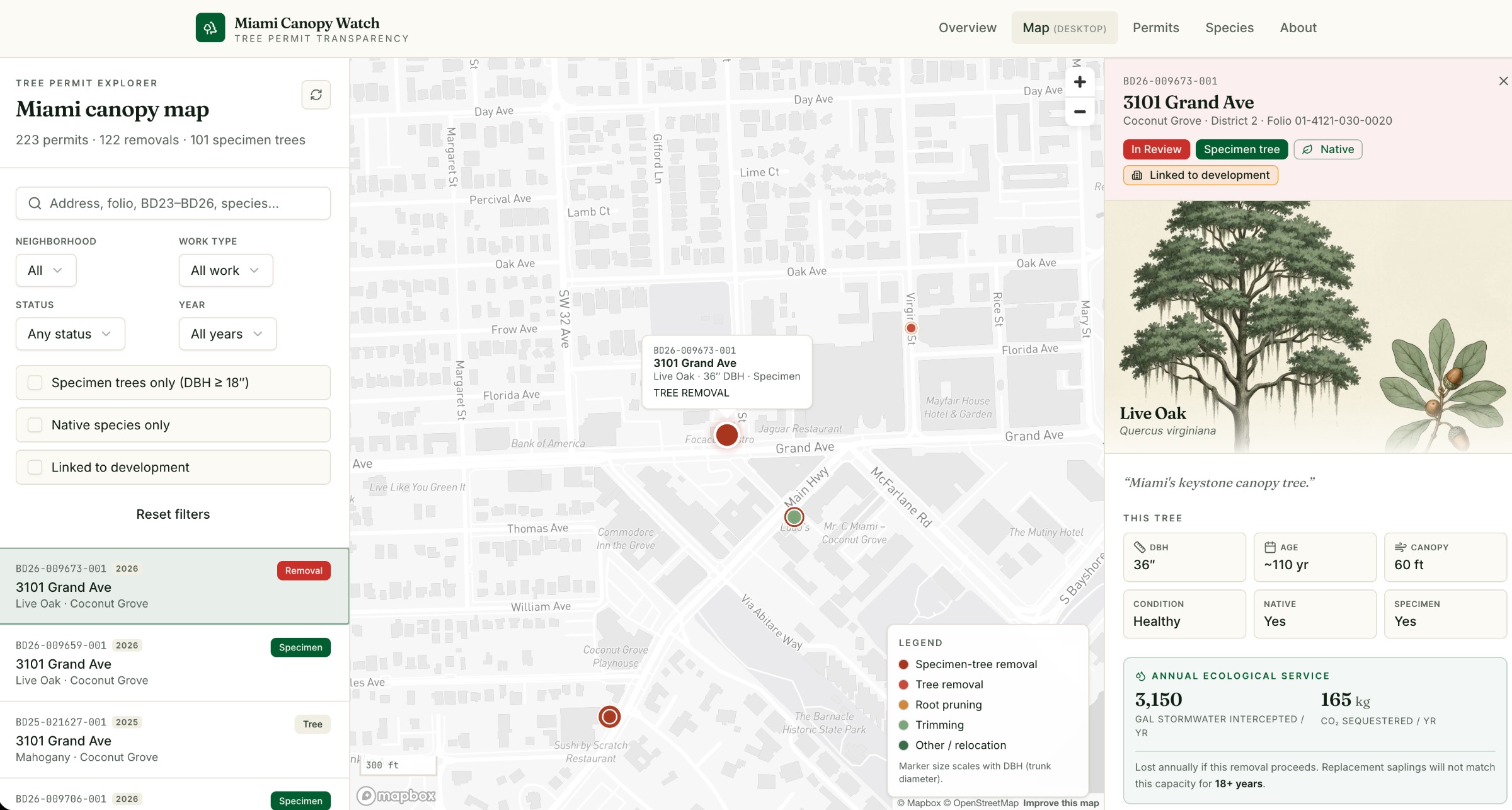 Miami Canopy Watch Image 1