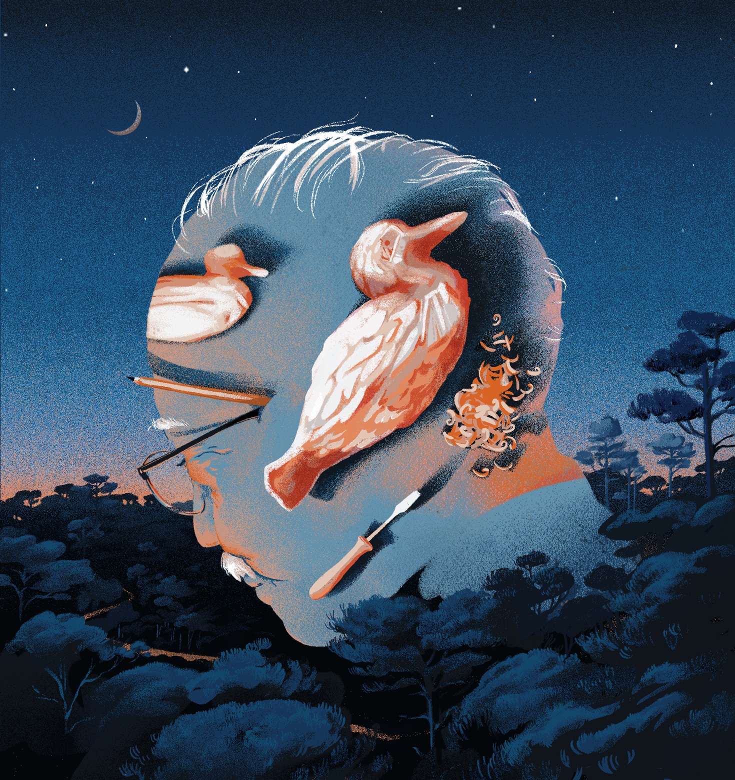 Andrea Cheung - 2026 winner of 8 illustration awards and 4 shortlists across Communication Arts, 3x3, American Illustration, World Illustration Awards, Creative Quarterly, Booooooom, and Applied Arts Awards Image 2