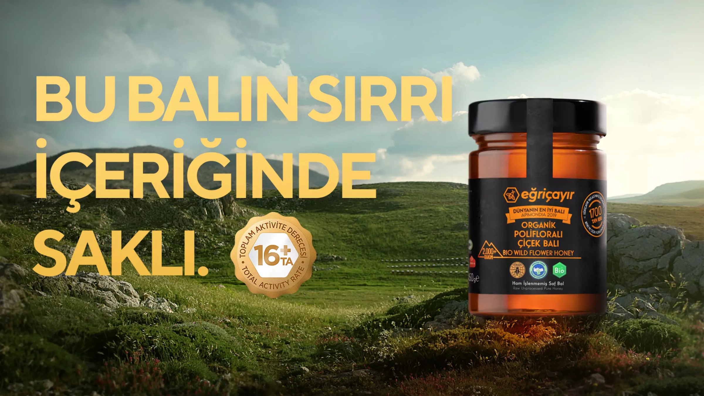 Eğriçayır | Kreatif Yeni Nesil İletişim Ajansı Image 3