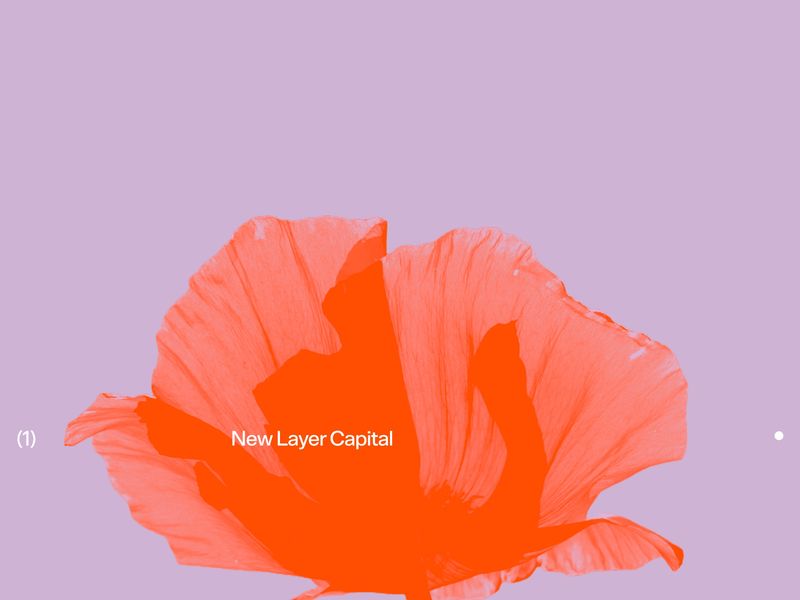 New Layer Capital