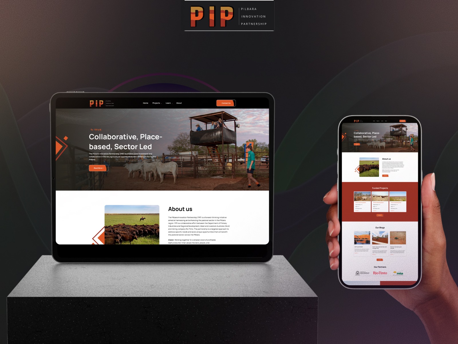 PIP — Corporate Web Engineering & Structural UI Case Study