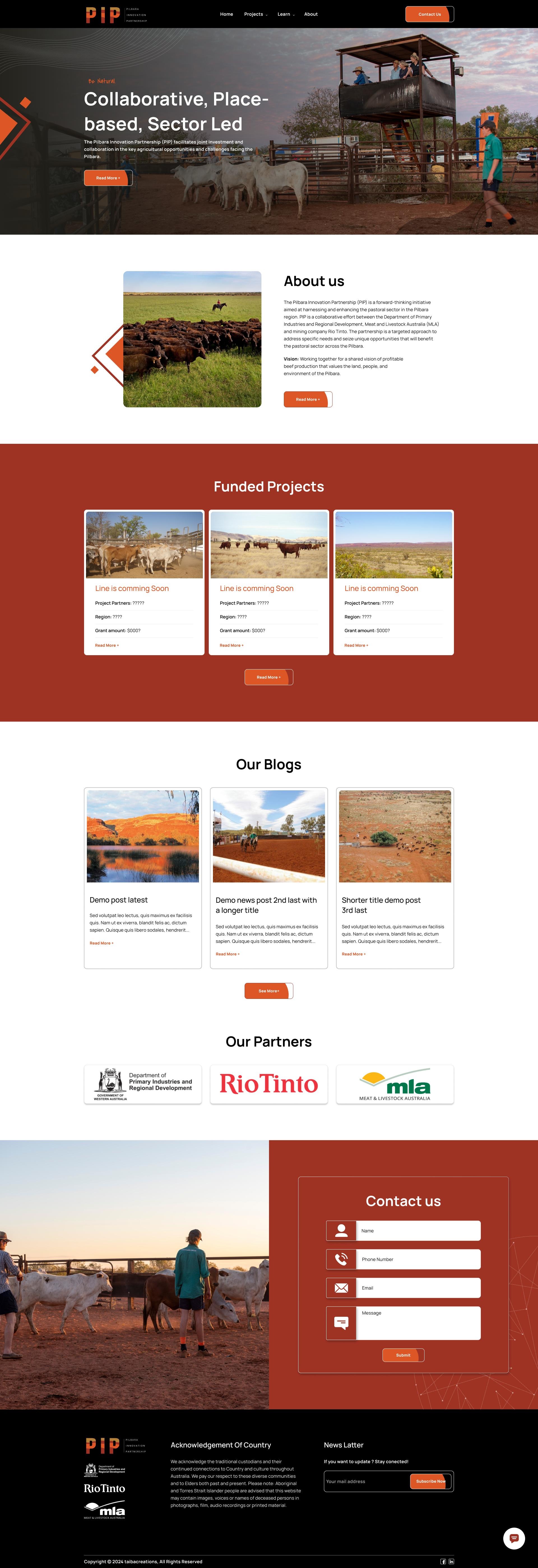 PIP — Corporate Web Engineering & Structural UI Case Study Image 0