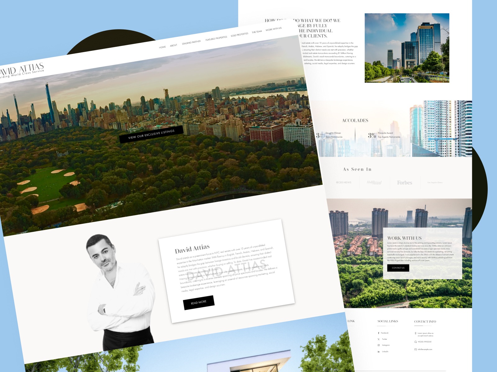 Luxury Real Estate Platform – David Attias