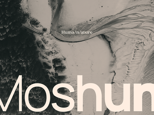Moshun | Branding & Website