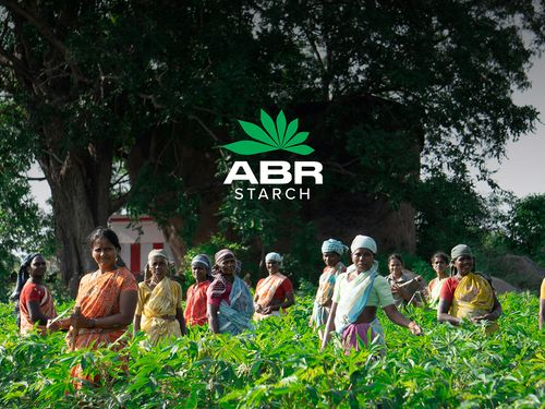 ABR Starch - Visual and editorial identity
