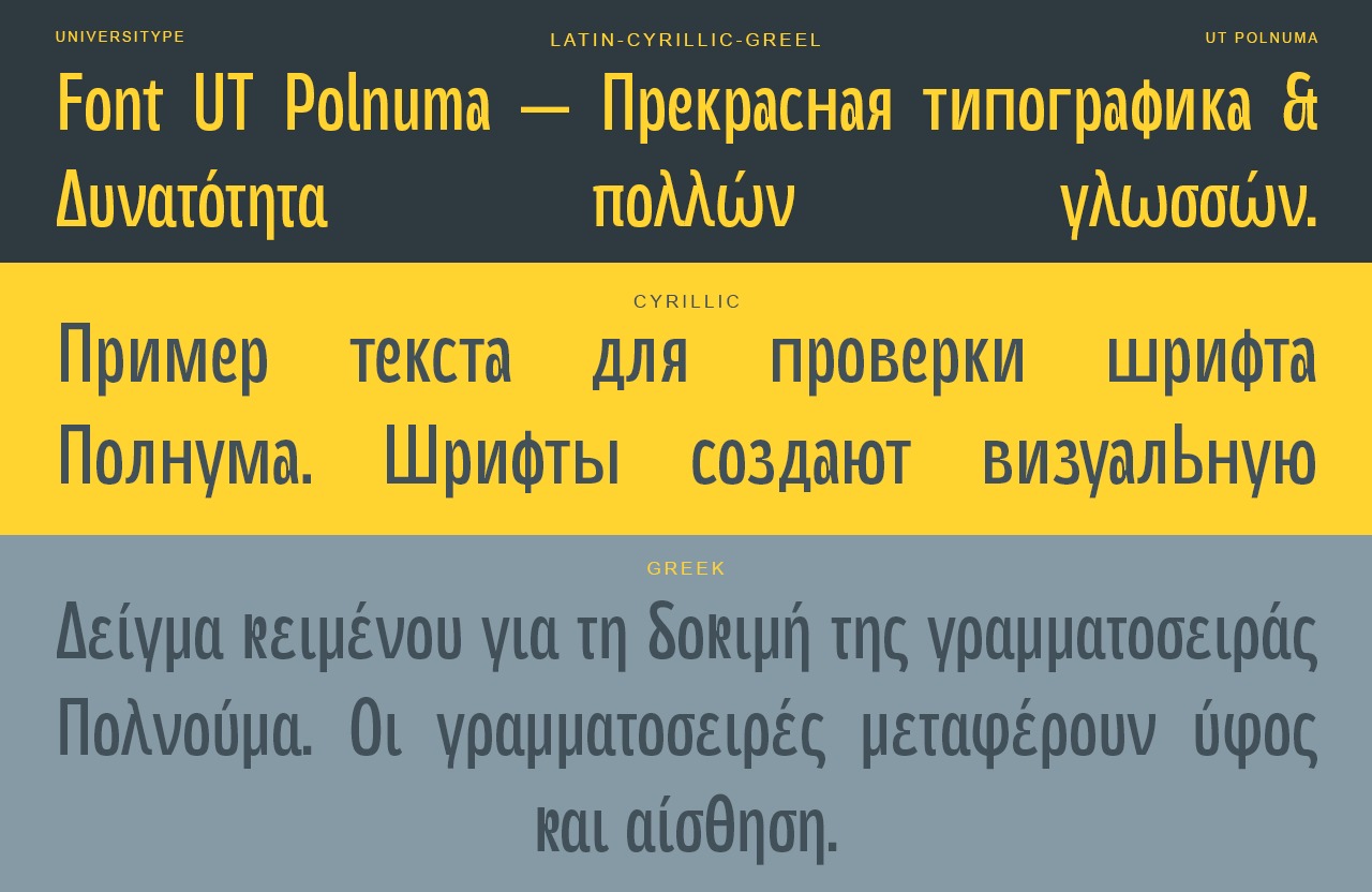 UT Polnuma - A Modern Sans-serif Image 0