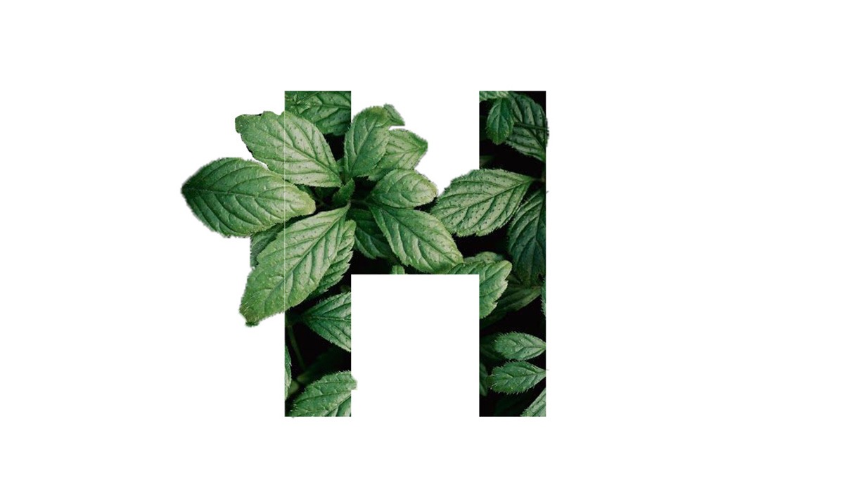 Nature in Type — Organic Letterform Composition