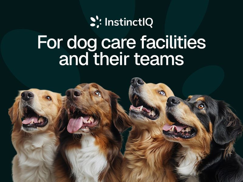 Dog Care Brand Identity & Webflow Website | InstinctIQ
