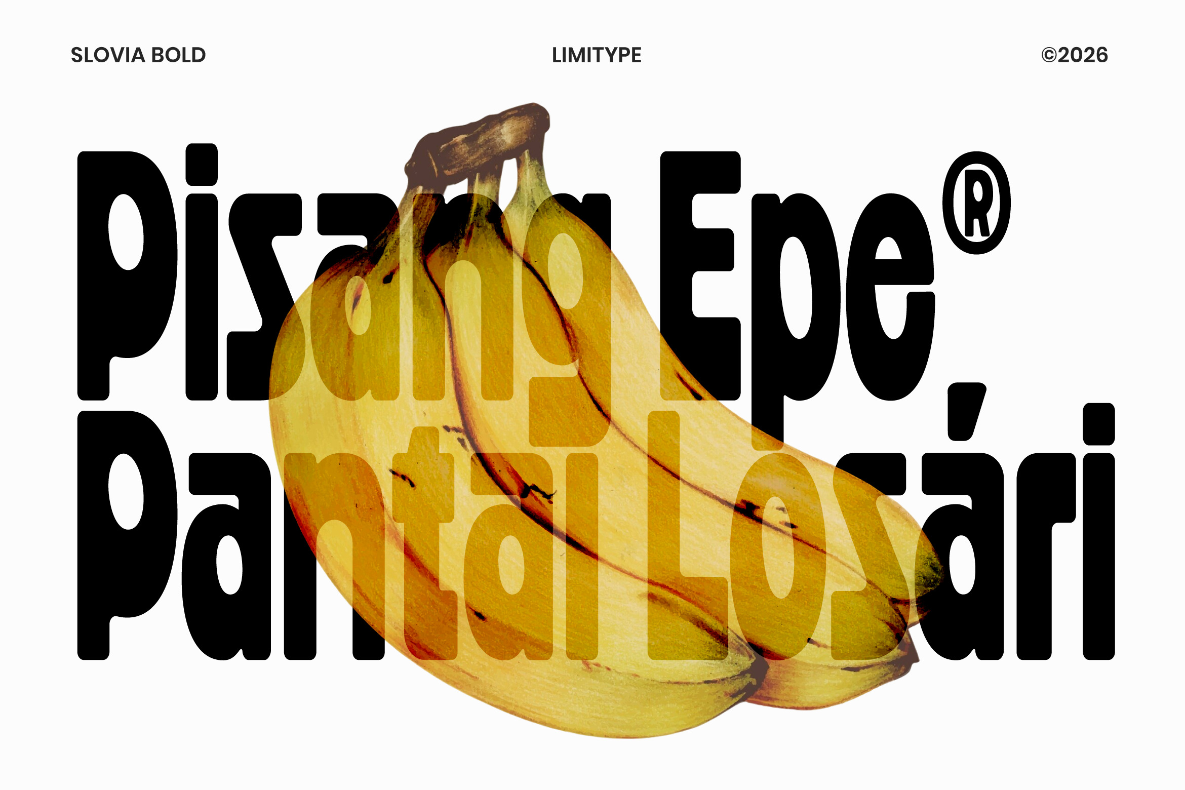 Slovia - Bold Condensed Font Image 2