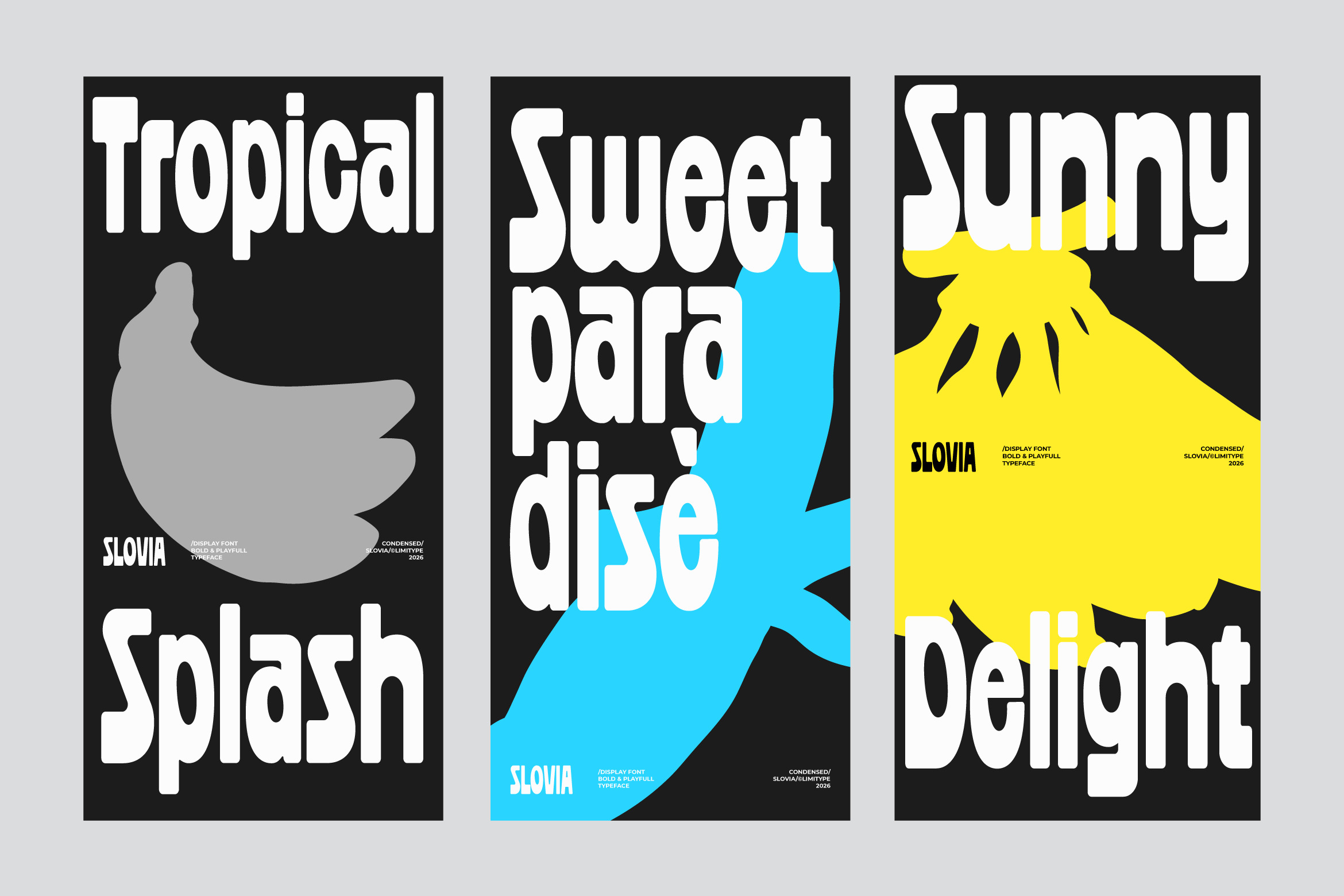 Slovia - Bold Condensed Font Image 4