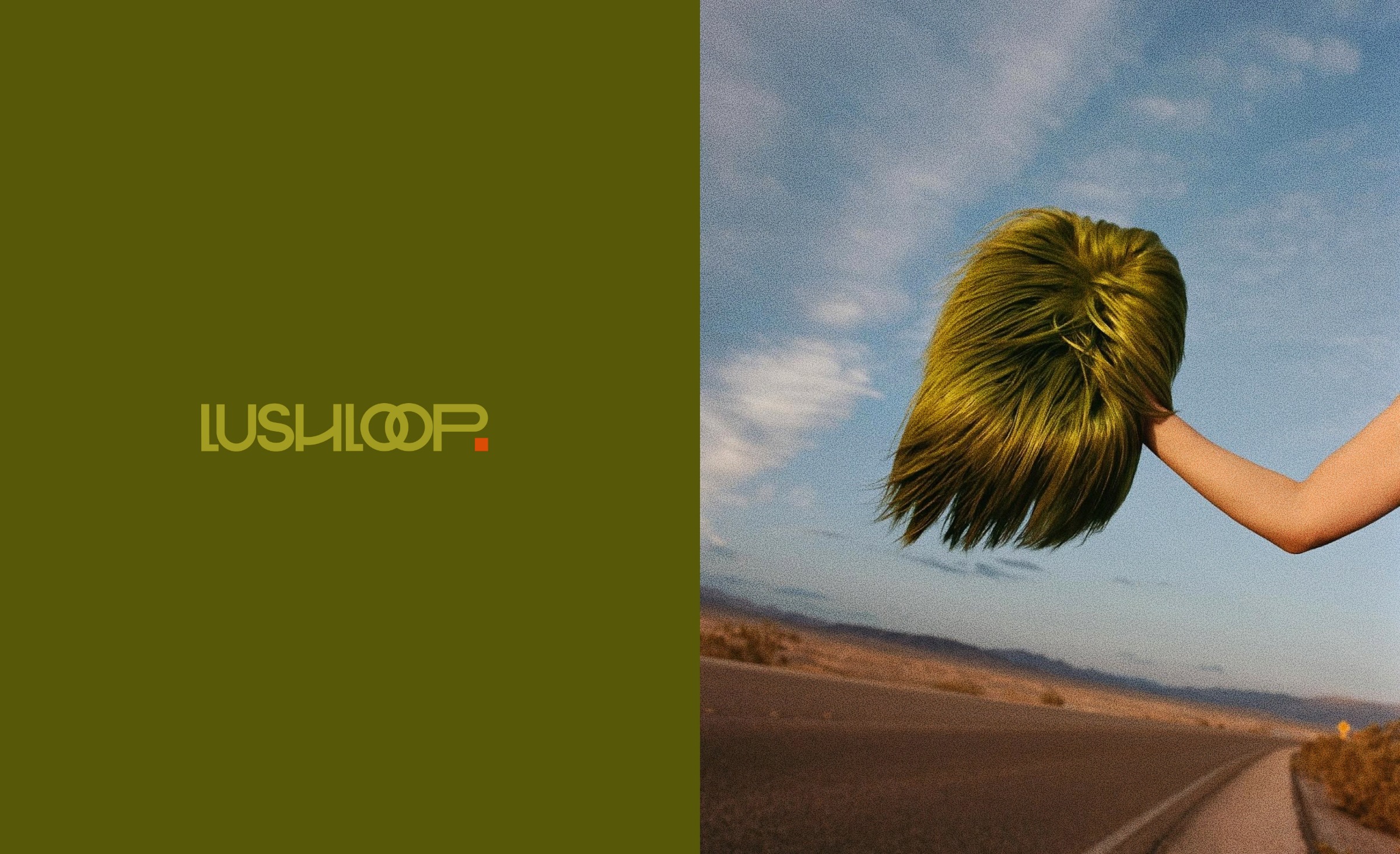 LushLoop 🫧 Sustainable Haircare Brand Image 0